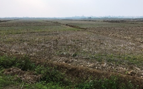 Một số chính sách mới có hiệu lực từ tháng 11/2023