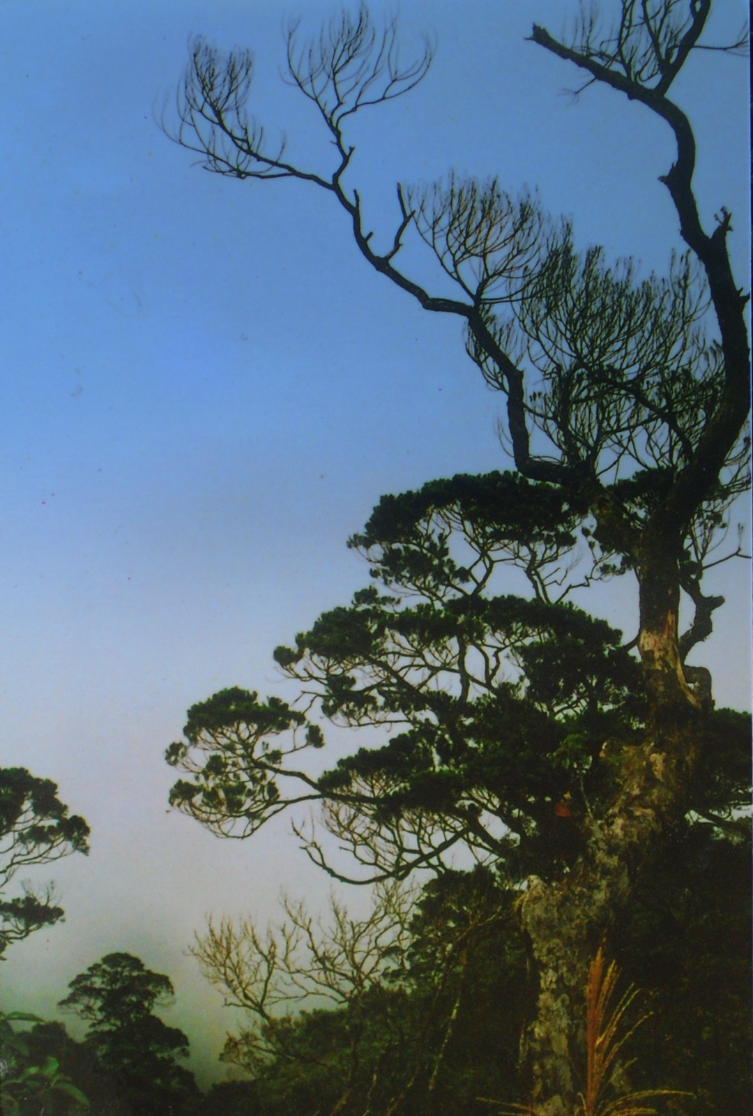 Bạch Mã vào hạ – Chuyến đi không thể nào quên